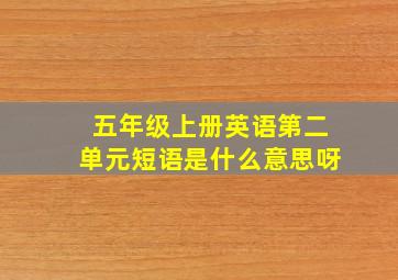 五年级上册英语第二单元短语是什么意思呀