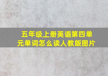 五年级上册英语第四单元单词怎么读人教版图片