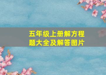 五年级上册解方程题大全及解答图片