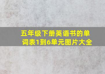 五年级下册英语书的单词表1到6单元图片大全