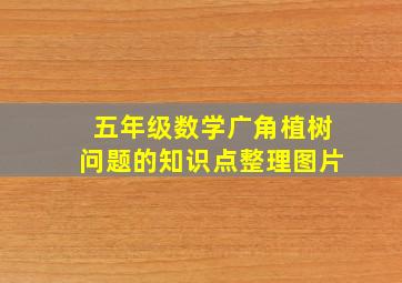 五年级数学广角植树问题的知识点整理图片