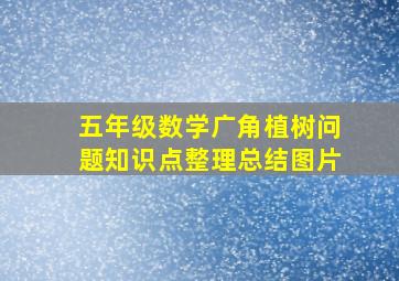 五年级数学广角植树问题知识点整理总结图片