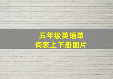 五年级英语单词表上下册图片