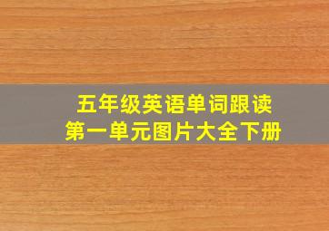 五年级英语单词跟读第一单元图片大全下册