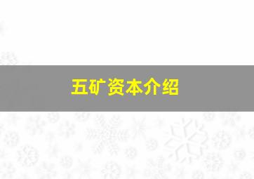 五矿资本介绍