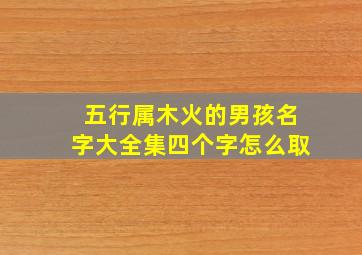 五行属木火的男孩名字大全集四个字怎么取