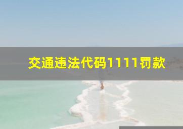 交通违法代码1111罚款