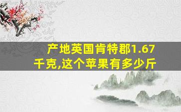 产地英国肯特郡1.67千克,这个苹果有多少斤