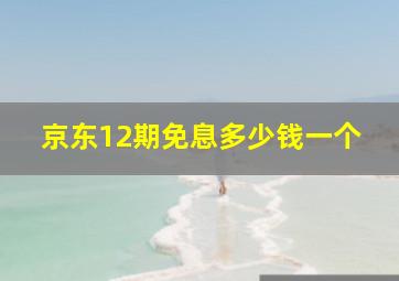 京东12期免息多少钱一个