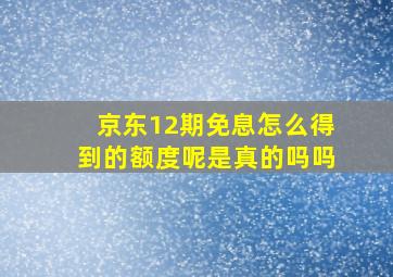 京东12期免息怎么得到的额度呢是真的吗吗