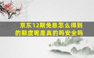 京东12期免息怎么得到的额度呢是真的吗安全吗