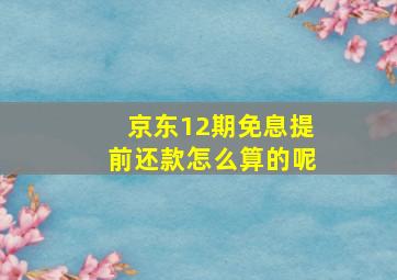 京东12期免息提前还款怎么算的呢