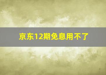 京东12期免息用不了