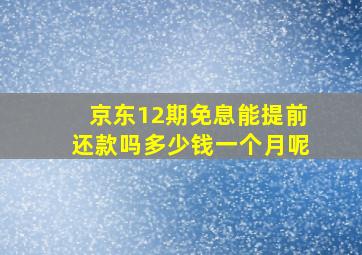 京东12期免息能提前还款吗多少钱一个月呢