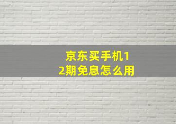 京东买手机12期免息怎么用