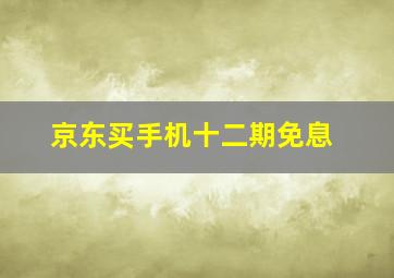 京东买手机十二期免息