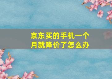 京东买的手机一个月就降价了怎么办