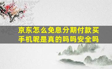 京东怎么免息分期付款买手机呢是真的吗吗安全吗