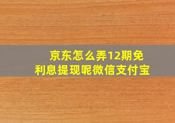 京东怎么弄12期免利息提现呢微信支付宝