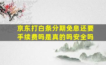 京东打白条分期免息还要手续费吗是真的吗安全吗