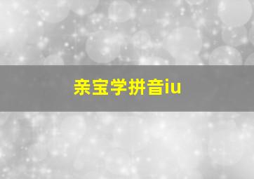 亲宝学拼音iu