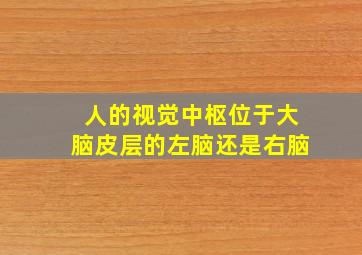 人的视觉中枢位于大脑皮层的左脑还是右脑