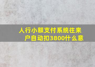 人行小额支付系统往来户自动扣3800什么意