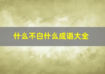 什么不白什么成语大全