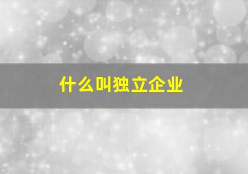 什么叫独立企业