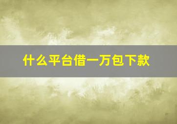 什么平台借一万包下款