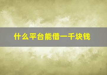 什么平台能借一千块钱