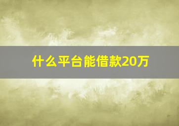 什么平台能借款20万