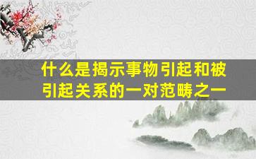 什么是揭示事物引起和被引起关系的一对范畴之一