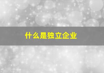 什么是独立企业