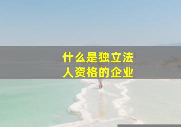 什么是独立法人资格的企业