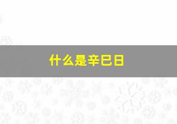 什么是辛巳日