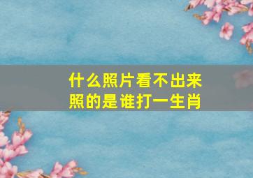 什么照片看不出来照的是谁打一生肖