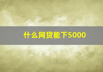 什么网贷能下5000