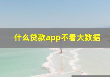 什么贷款app不看大数据