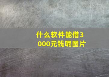 什么软件能借3000元钱呢图片