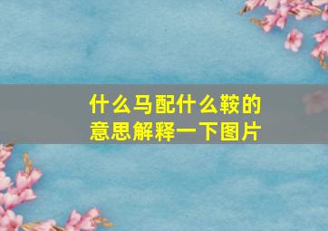 什么马配什么鞍的意思解释一下图片