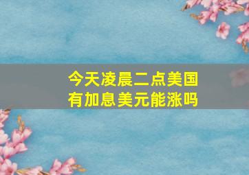 今天凌晨二点美国有加息美元能涨吗