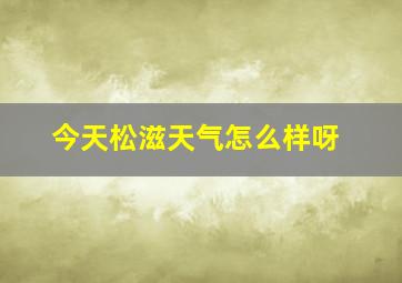 今天松滋天气怎么样呀