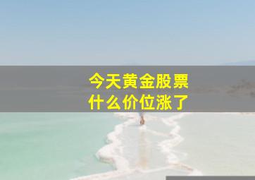 今天黄金股票什么价位涨了