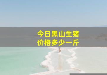 今日黑山生猪价格多少一斤