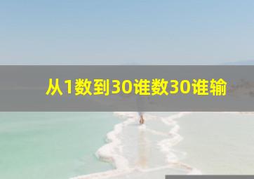 从1数到30谁数30谁输