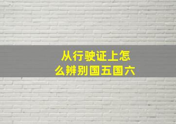 从行驶证上怎么辨别国五国六