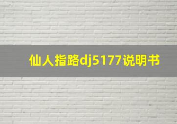 仙人指路dj5177说明书