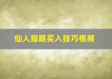 仙人指路买入技巧视频