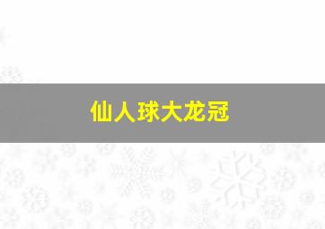 仙人球大龙冠